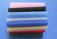 番阳镇涤纶（PET）无纺布是什么